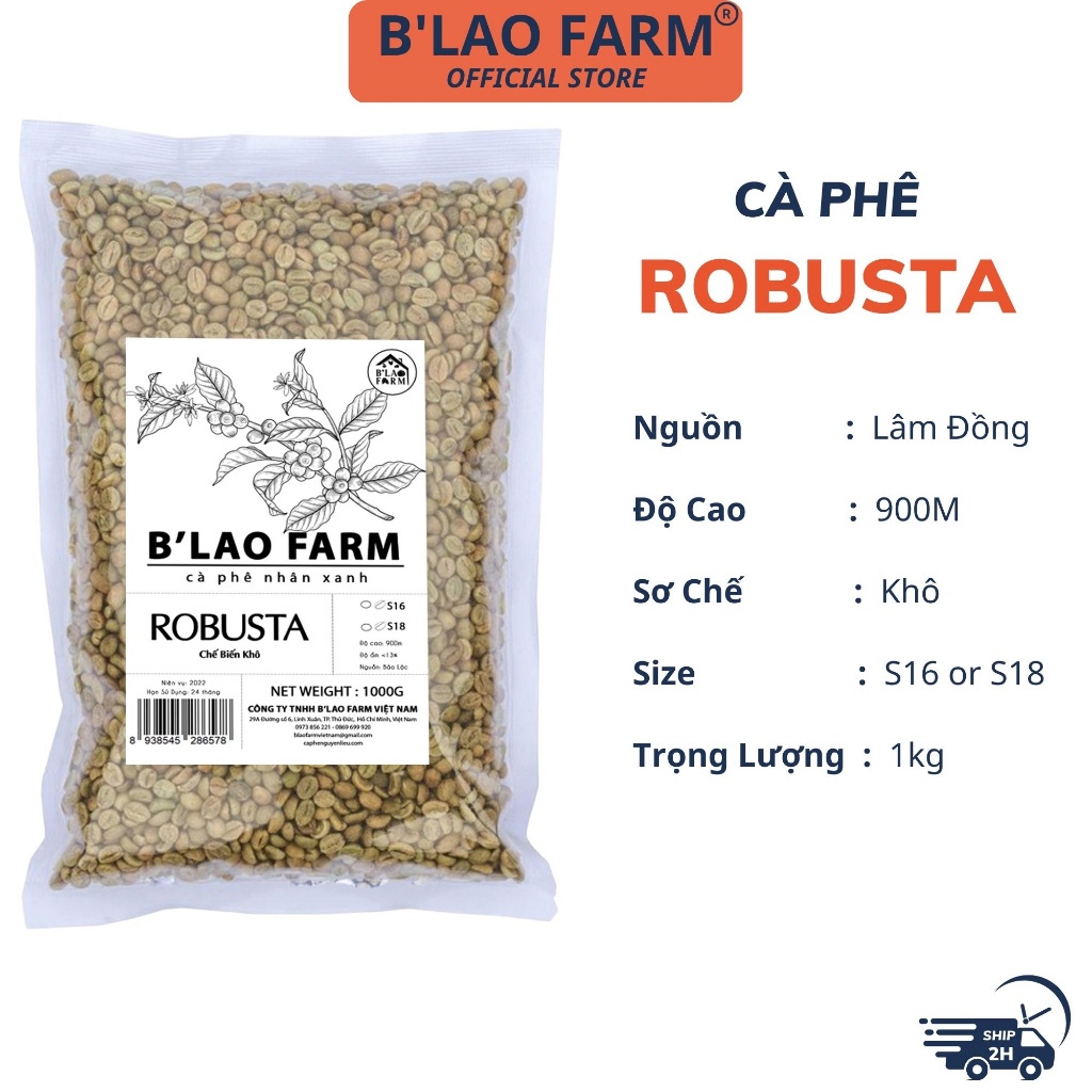 Cà phê nhân xanh ROBUSTA S18 B'Lao Farm cafe chưa rang sàng 18 đã được chà bóng băn màu sơ chế khô túi 1kg RX18