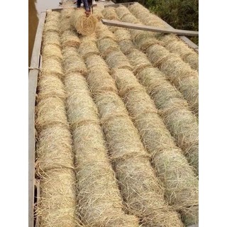 1 cuộn rơm khô Củ Chi (16-20kg)