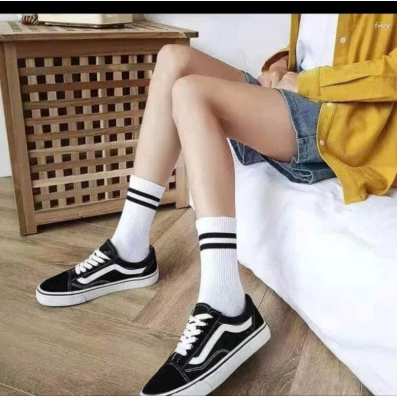 Tất kẻ dài hàn quốc hs1