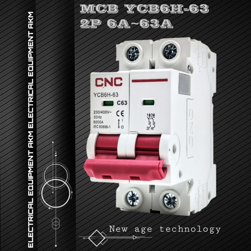 Aptomat CNC 2 pha 6A,10A,16A,20A,25A,32A,40A,50 63A / ATOMAT MCB 2 pha CNC từ 10A~ 63A (YCB6H-63)