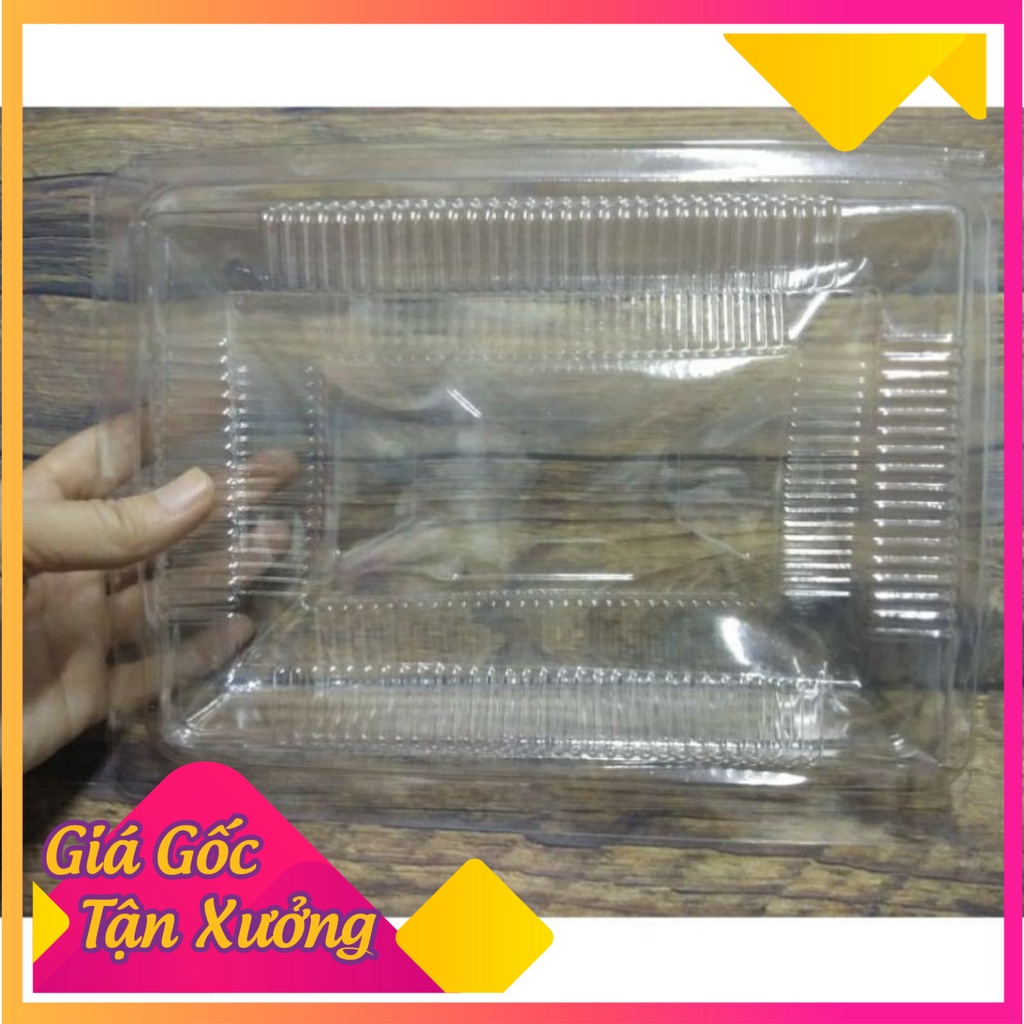 Salee  Lốc 100 cái hộp nhựa định hình H50- Hộp đựng bánh su kem