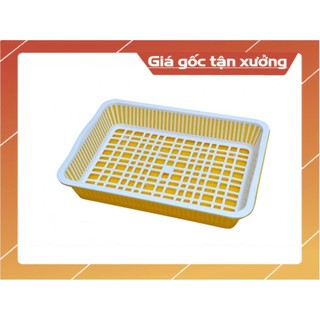 Mâm nhựa/Khay nhựa úp ly nhựa Sâu 2 size Nhỏ/Lớn Tân Lập Thành