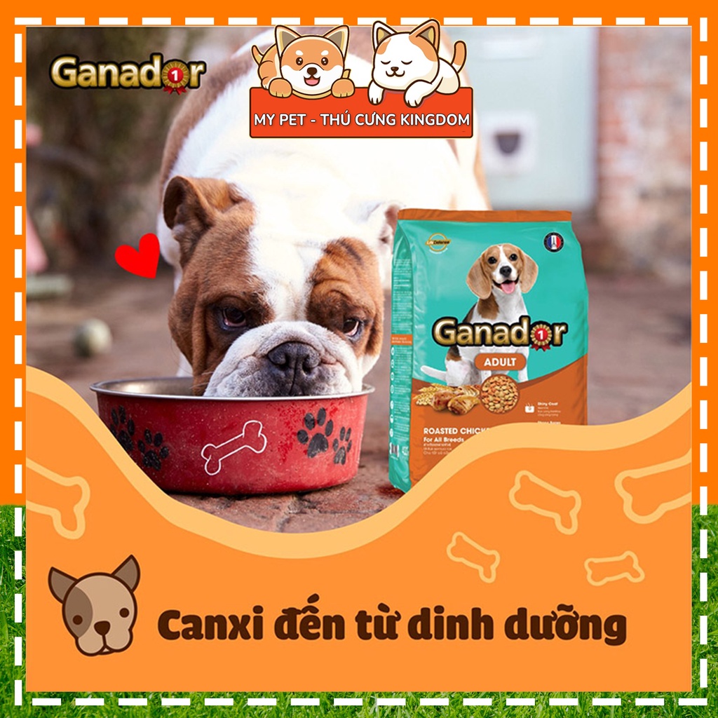Thức Ăn Hạt Khô Ganador FIB'S Đồ Ăn Cho Chó Con, Chó Lớn 400g - Mypet - TT041