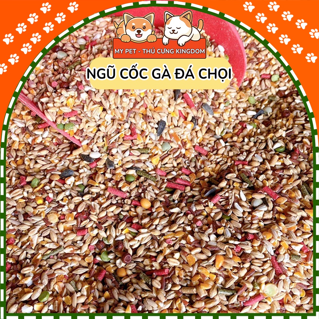 Ngũ cốc gà đá gà chọi giá rẻ, thức ăn chiến kê túi 1kg giúp tăng bo nhanh dùng cho gà nòi gà che gà chọi - Mypet - TT298