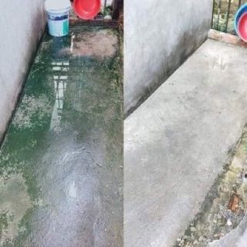 Bột tẩy rong rêu cho sân xi măng,sân gạch vỉa hè hiệu quả