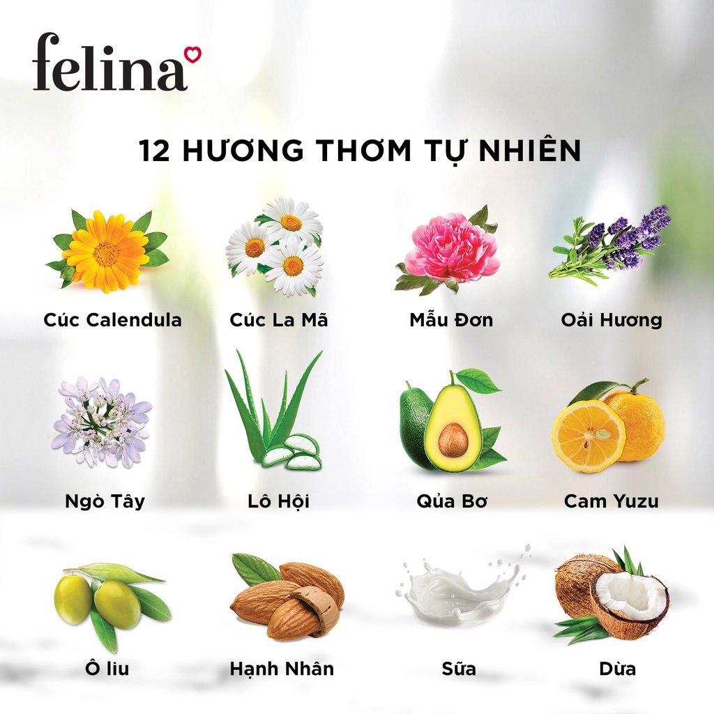 [HB GIFT] Gel Tắm Tẩy tế bào chết body Felina Home Spa dạng gel 300ml từ Hạt mơ nghiền