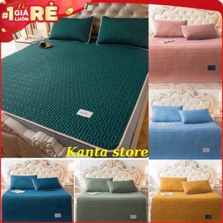 Chiếu điều hòa cao su non tặng kèm 2 vỏ gối nằm, Chiếu tencel latex thái lan cao cấp (m2/m6/m8/2m2)