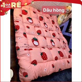 Topper TAKARA 7cm tấm đệm trải sàn, tấm bảo vệ nệm tiện nghi cao cấp không lo bị xẹp, đệm văn phòng giường tầng ktx