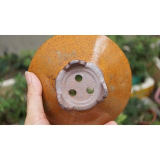 Chậu hoả biến tròn loe