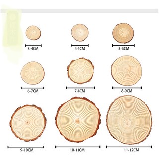 Lát gỗ thông dùng trang trí decor phòng