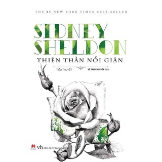 Sách - thiên thần nổi giận - hhb