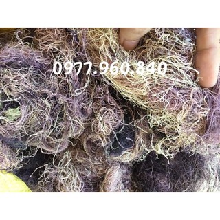 1KG RONG BIỂN RAU CÂU CHỈ VÀNG LOẠI THÔ CHƯA SƠ CHẾ NẤU XU XOA TRỘN GỎI QUẢNG NGÃI