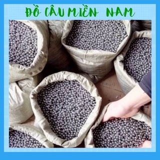 1kg bi sắt 6.35mm và bi 7mm