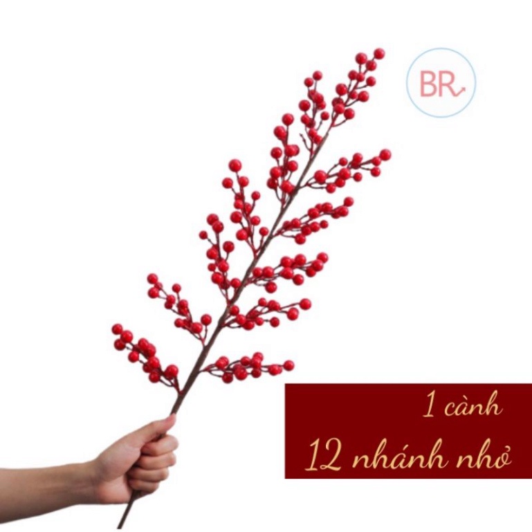 Cành Đào Đông 12 Nhánh 144 Quả Đỏ Cao Cấp Trang Trí Nhà Cửa Văn Phòng Decor Quả đỏ tươi, sáng bóng