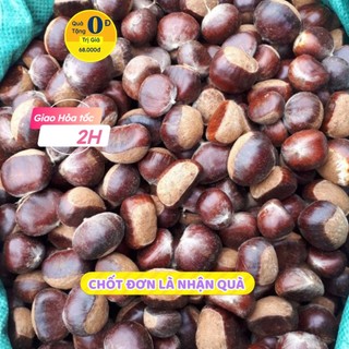10kg hạt dẻ sống của khách sỉ