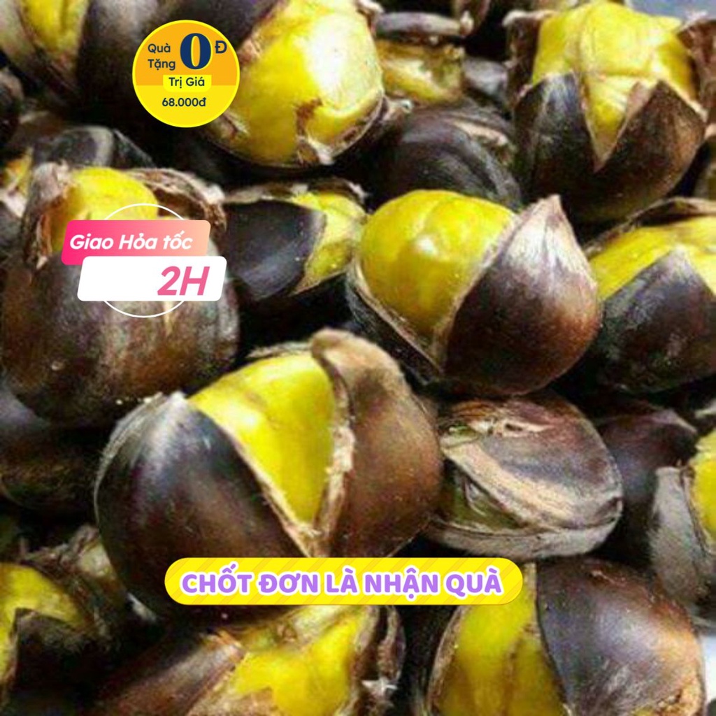 2KG hạt dẻ sống/dẻ tươi ngon cơm vàng bở hạt to