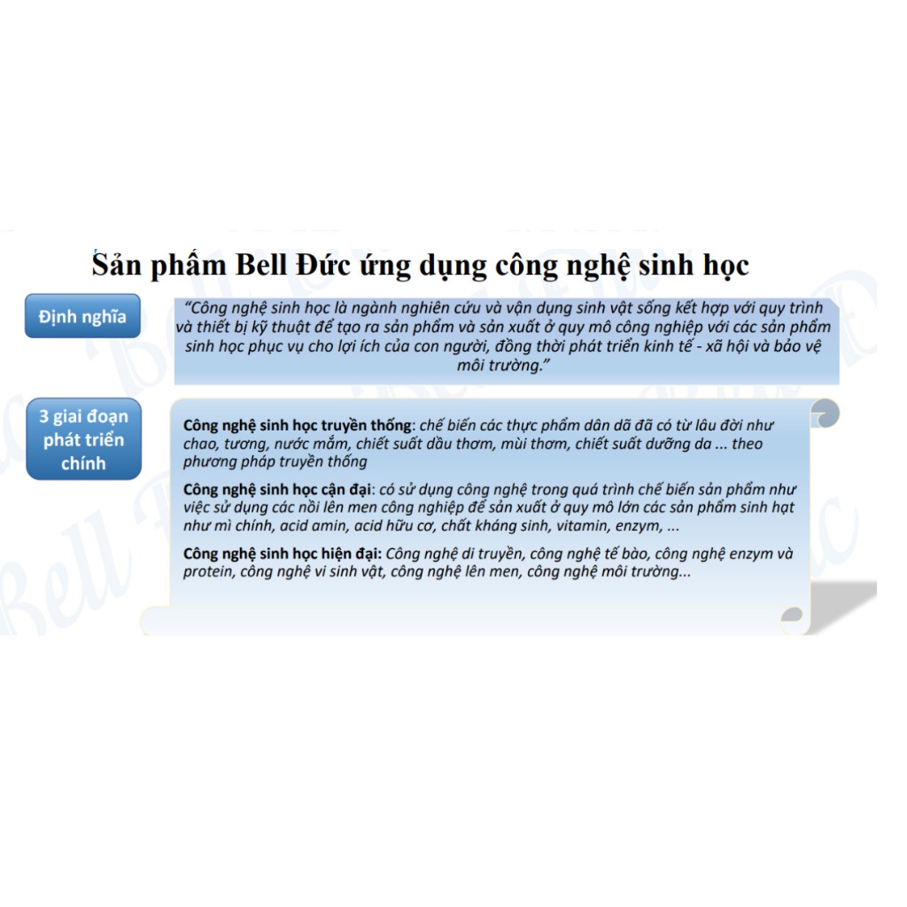 Nước Lau sàn Bell Family hương chanh sả/quế 1Lit Cappi shop