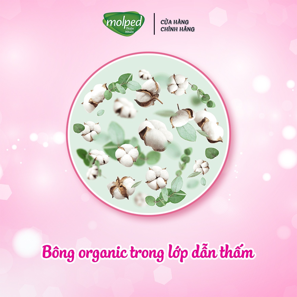 Combo 8 gói Băng vệ sinh Molped thiên nhiên Siêu bảo vệ Siêu mỏng có cánh