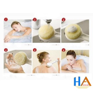 Cây Cọ Lưng Bông Tắm Muji