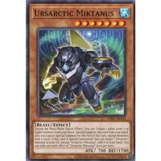 Cr01-ae124 ursarctic miktanus