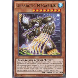 Cr01-ae128 ursarctic megabilis