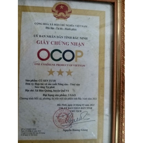 Trà củ sen  -HTX Sen Vàng TP