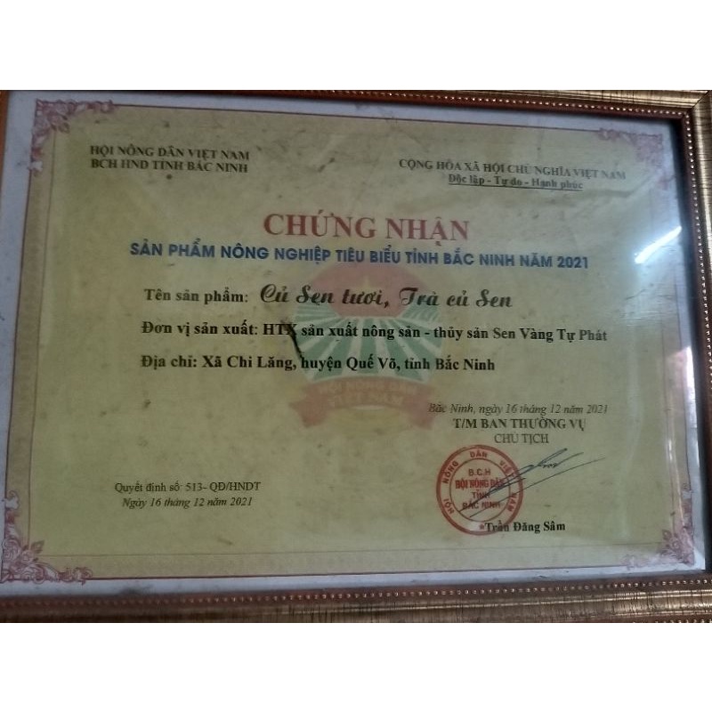 Trà củ sen  -HTX Sen Vàng TP