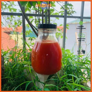 Chai Thuỷ Tinh Vuông Lùn Miệng Rộng Nắp Nhựa 300ml 500ml | Đựng sữa chua , nước ép , trà lên men