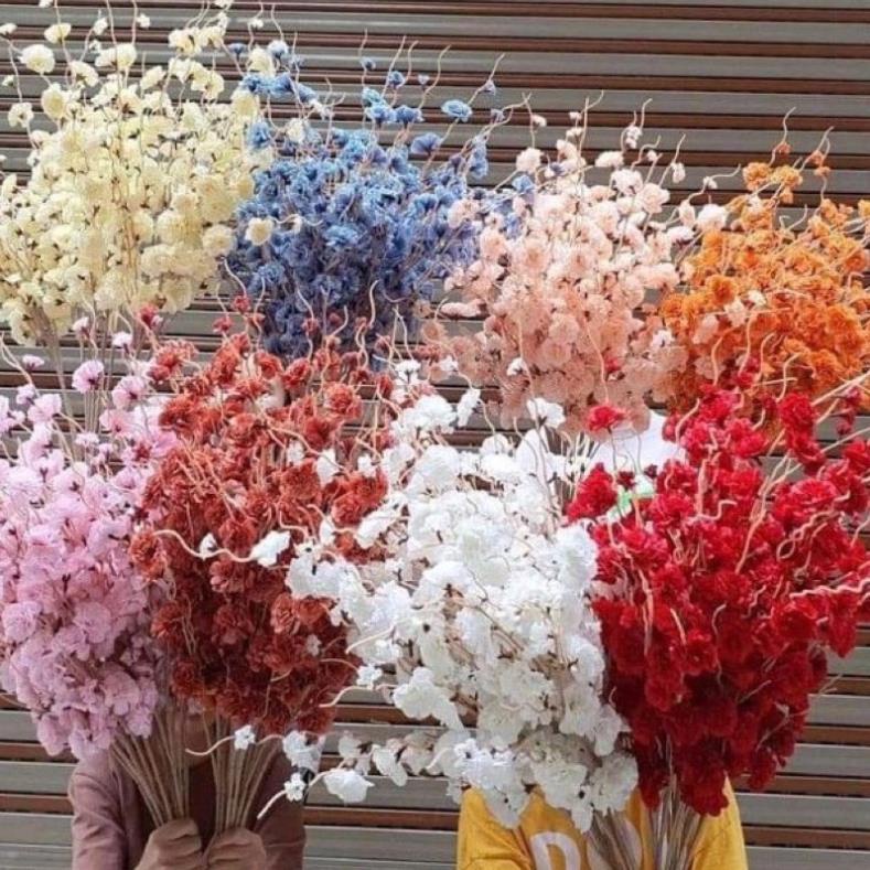 ★ Cành hoa đào râu trang trí (thân cành màu trắng)