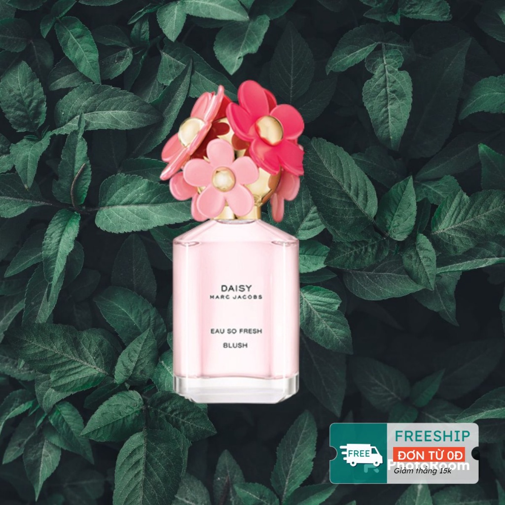 Nước hoa Marc Jacobs Daisy Blush EDT