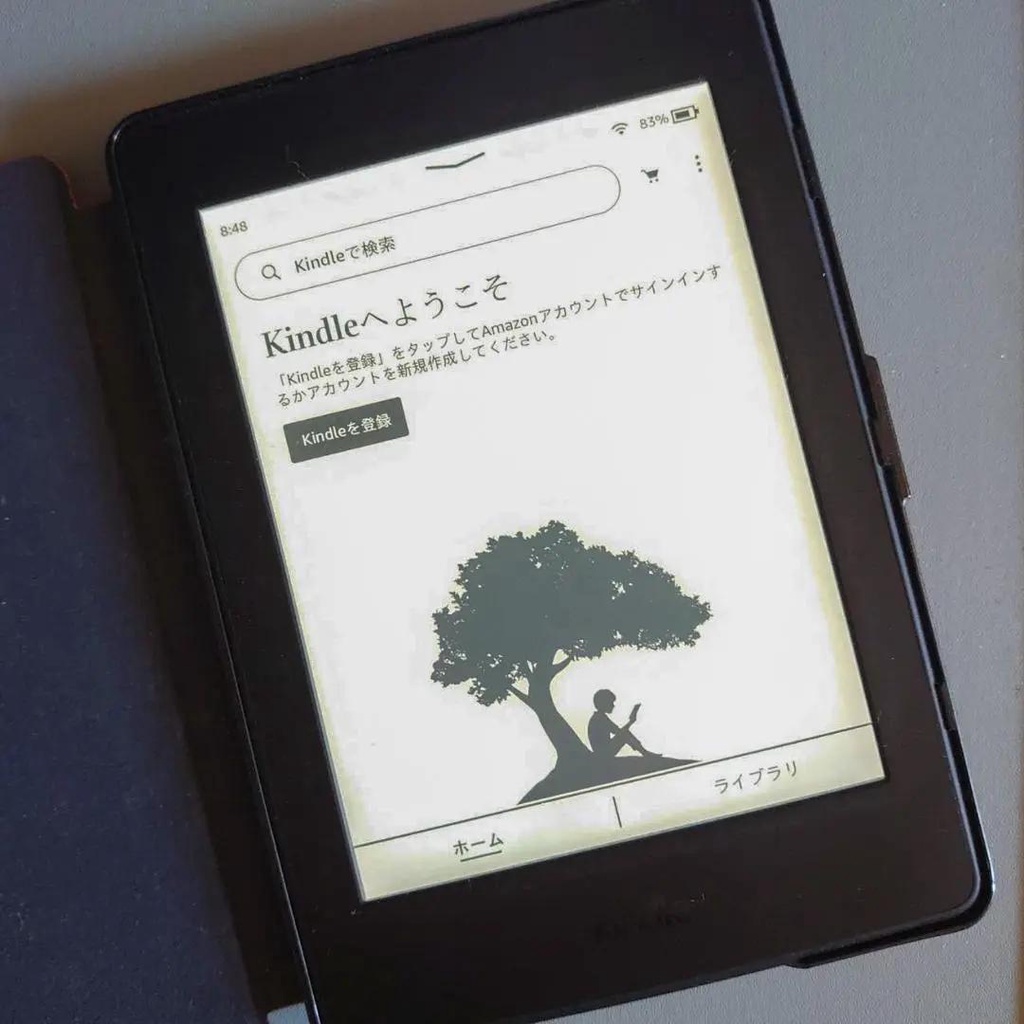 Máy Đọc Sách Kindle Paperwhite gen 4 10th 32g CODE 18760