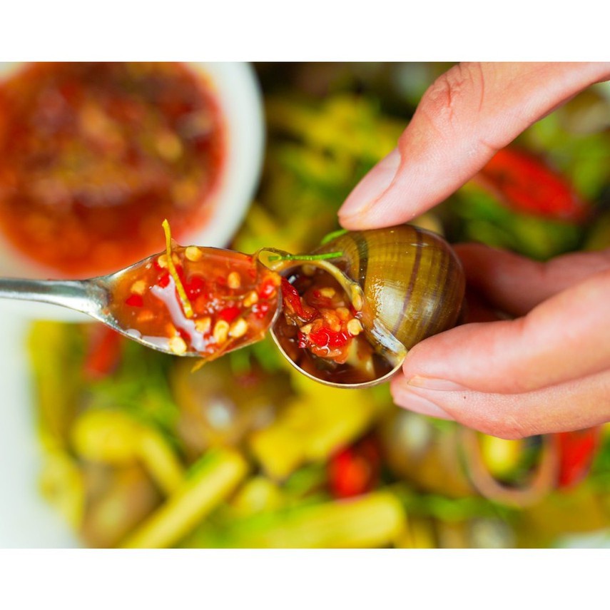 Nước chấm ốc Thích Cay, tương chấm gừng sả, thịt gà, gia cầm, nước nắm gia truyền, chấm phở, gỏi