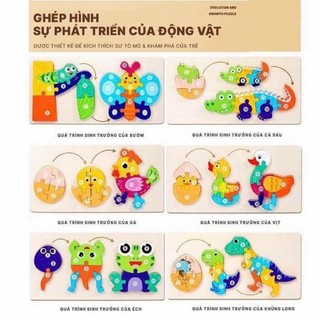 Đồ chơi ghép hình số hóa quá trình phát triển côn trùng cho bé - khám phá thế giới động vật