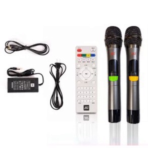 Loa kéo karaoke JBZ-NE-1006 / 0806 / 1206  tặng 2 Micro UHF- Kim loại .