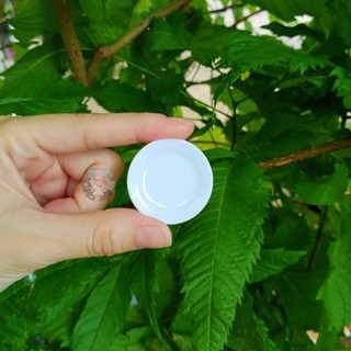 Đĩa nhựa trắng 4cm