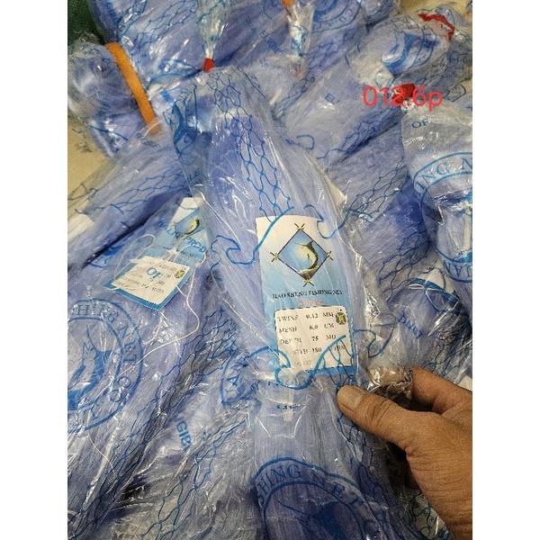 012. 6p x75 mắt