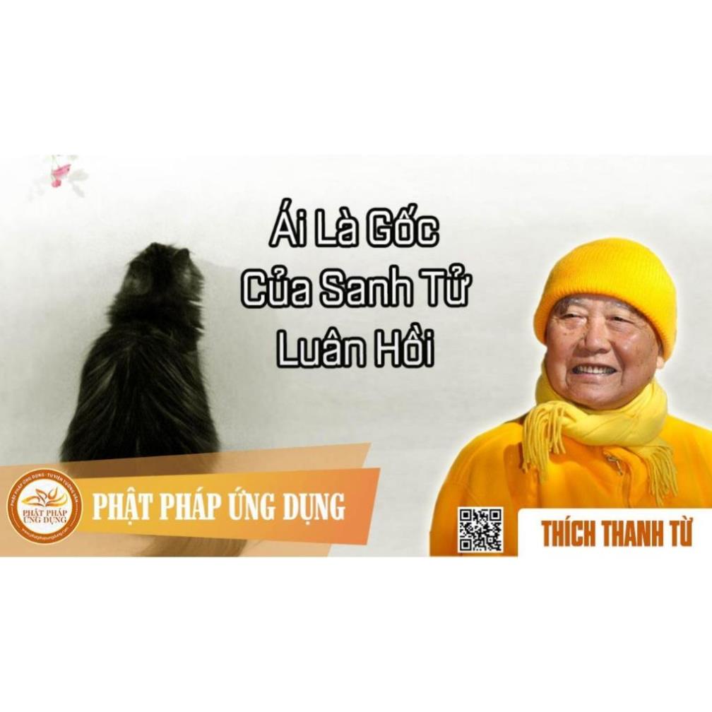 TN17 - Thẻ Nhớ 8G Chép Sẵn 623 Bài Thuyết Pháp Thiền Sư Thích Thanh Từ