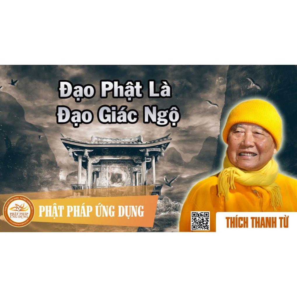 TN17 - Thẻ Nhớ 8G Chép Sẵn 623 Bài Thuyết Pháp Thiền Sư Thích Thanh Từ