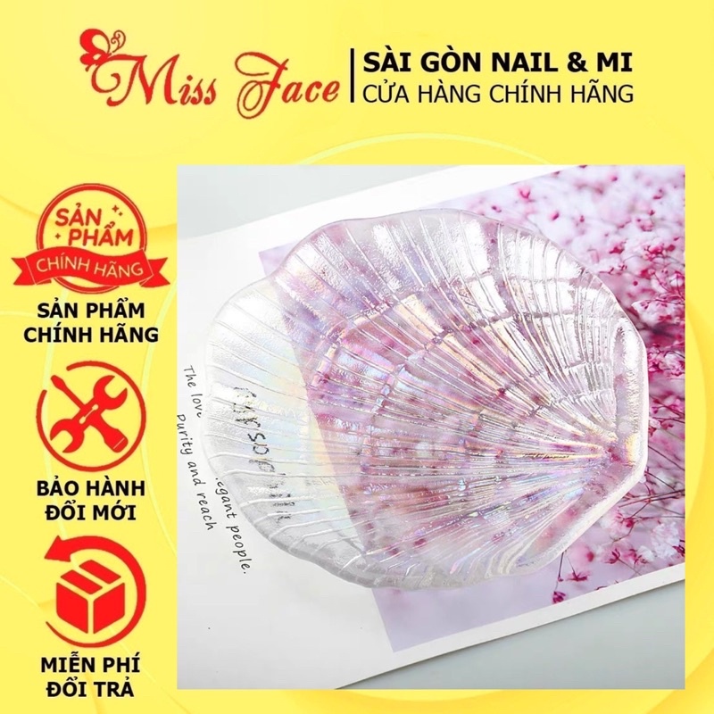 Vỏ sò pha lê chụp ảnh , tán màu siêu sang chảnh - Miếng vỏ sò chụp ảnh nail