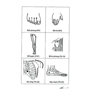 Sách  - Sổ Tay Tìm Huyệt ( VL)