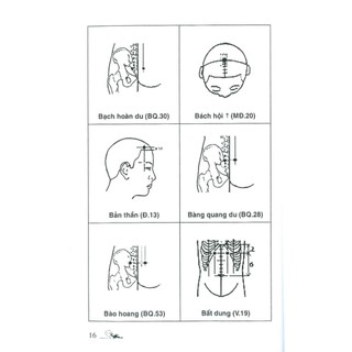 Sách  - Sổ Tay Tìm Huyệt ( VL)