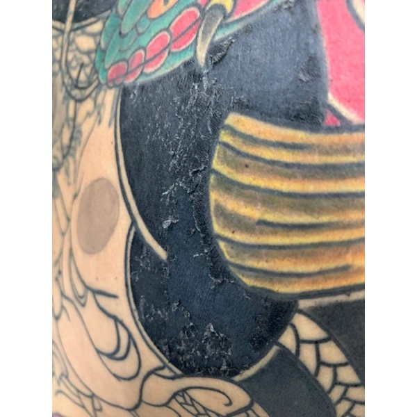 MỰC SIÊU ĐEN BLACK BEAR 1 OZ