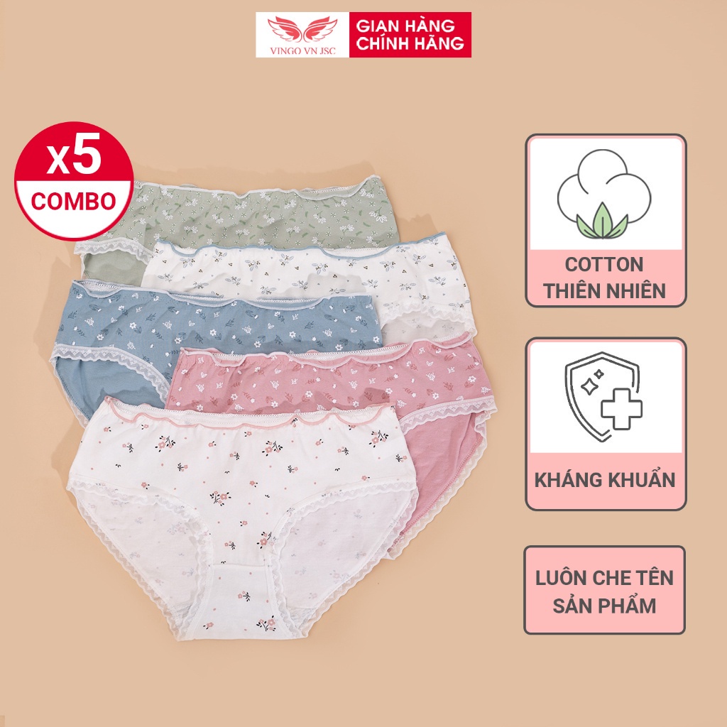 Combo 5 quần lót nữ cotton thiên nhiên co giãn 4 chiều VINGO đáy 2 lớp cotton tinh khiết kháng khuẩn an toàn CB43 VNGO