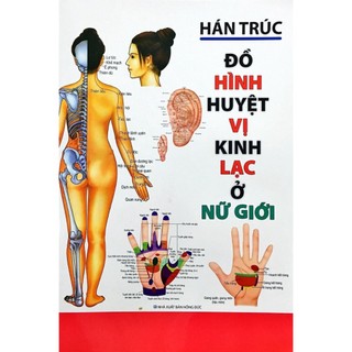 Sách - đồ hình huyệt vị kinh lạc ở nữ giới - sht