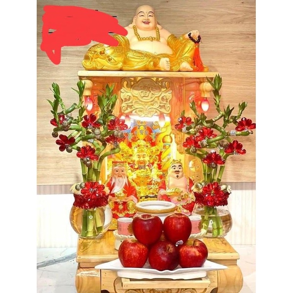 Cành trúc soắn trồng thuỷ sinh ,cây phong thuỷ, trúc phát tài