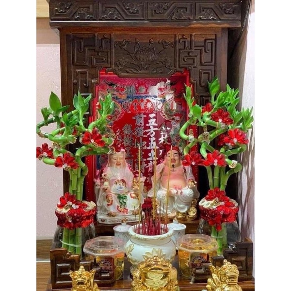 Cành trúc soắn trồng thuỷ sinh ,cây phong thuỷ, trúc phát tài