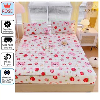 Bộ ga gối đũi cotton nhiều mẫu đẹp, ga gối cotton poly cao cấp KT m6 ,m8, 2m2