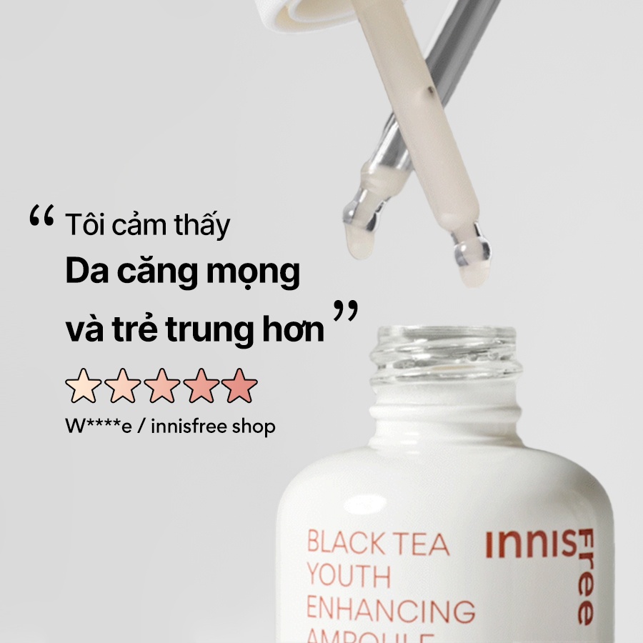 Tinh chất phục hồi da và chống lão hóa trà đen innisfree Black Tea Youth Ampoule 50 mL (New 2023)