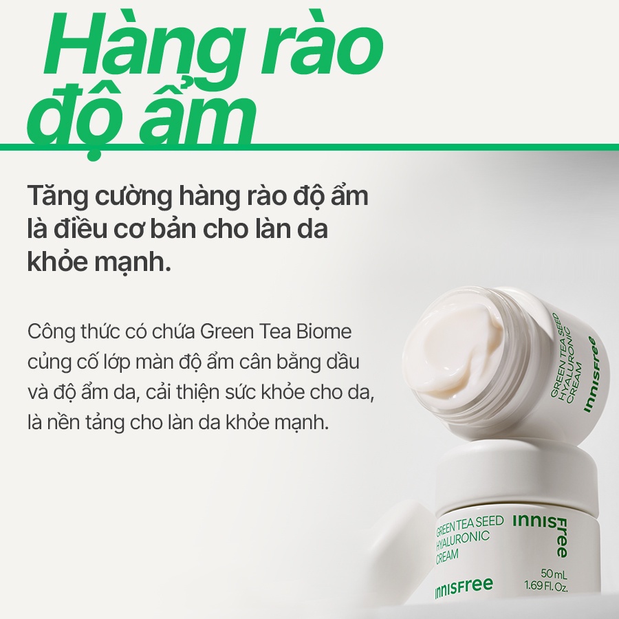 Kem dưỡng ẩm trà xanh innisfree Green Tea Seed Hyaluronic Cream 50ml