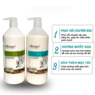 Dầu gội xả dưỡng sinh stillonps kenry 500-1000ml phục hồi, ngừa gàu tái tạo nang tóc và da đầu hương nước hoa